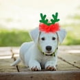 thumbnail image 4 of Festive Reindeer Star Hat Valentine Holiday Party For Cats And Dogs Pet Apparel Accessory, 4 of 4