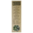 thumbnail image 3 of Sérum Stone Crop par Eminence pour Unisexe - 1 oz Sérum, 3 of 7