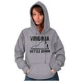 thumbnail image 4 of Virginia Settle State Map Shape Funny Unisex Plus Fleece Graphic Hoodie Brisco Brands 3X, 4 of 5