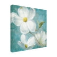 thumbnail image 2 of Trademark Fine Art 'Indiness Blossom Square Vintage IV' Canvas Art by Danhui Nai, 2 of 3