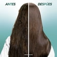 thumbnail image 4 of Shampoo Garnier Fructis probióticos fuerza 650 ml, 4 of 6