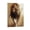 Frame-style, variant on Majestic Lion Canvas Painting Print Abstract Lion Painting Poster, Wildlife Art Christian Wall Decor Poster Decorative Painting Canvas Wall Art Living Room Posters Bedroom Painting 20x30inch(50x75cm)