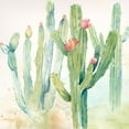 thumbnail image 2 of Coulter, Cynthia 12x12 Gold Ornate Wood Framed with Double Matting Museum Art Print Titled - Cactus Garden II, 2 of 4