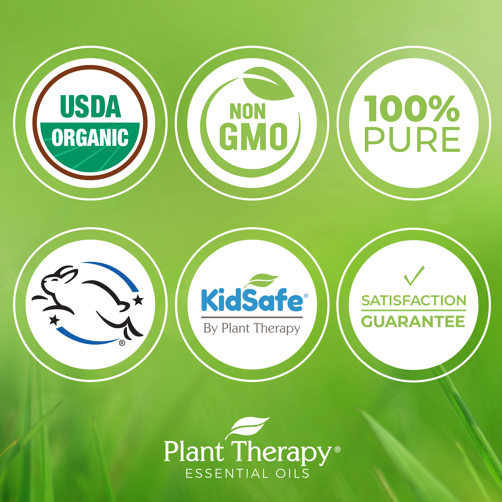 Plant Therapy Sandalwood Australian Organic Essential Oil 5 mL (1/6 oz)100% Pure - image 5 of 7