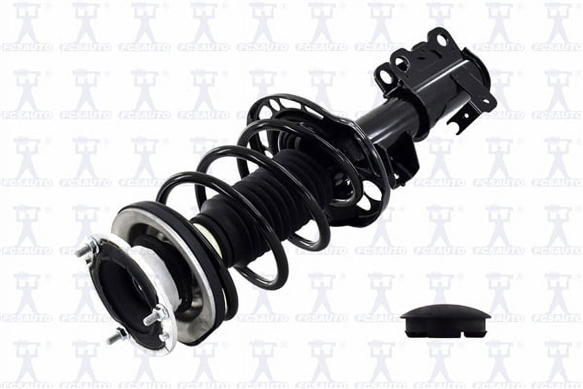 Suspension Strut and Coil Spring Assembly