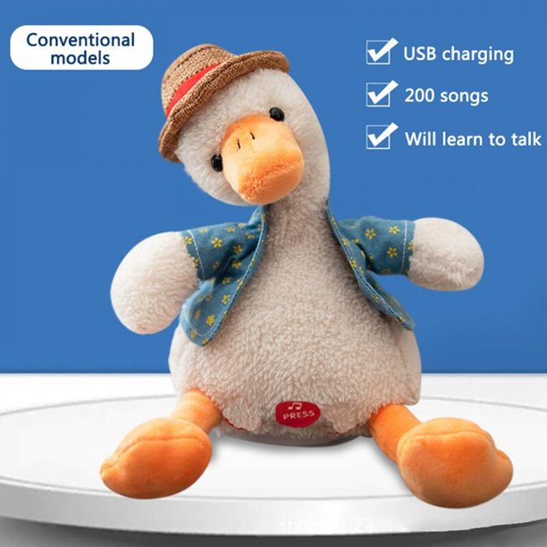 Educational Toy Plush