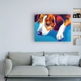 thumbnail image 3 of Trademark Fine Art 'Lambeau' Canvas Art by DawgArt, 3 of 3