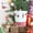 Multicolor, variant on Daiosportswear Christmas Paper Cups,Snowflake Party Cups,10 Pcs,Paper,3.5x3.0in,Christmas theme,Snowflake Pattern,Disposable,Sturdy,for Hot/Cold Drinks,Parties/Dinners/Family Gatherings,Easy Cleanup