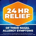 thumbnail image 6 of Nasacort Children's Allergy 24HR Spray (60 Sprays, 0.37 Oz), 6 of 9