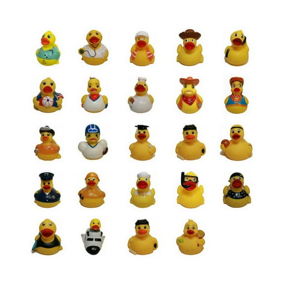 Assurance K24C Assortment of 24 Career Ducks