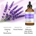 thumbnail image 2 of Lavender Essential Oil by Velona - 1 oz | Therapeutic Grade for Aromatherapy Diffuser, 2 of 4
