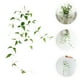 thumbnail image 3 of 1 UNID planta artificial decorativa con alambres de hierro Clematis Fake Clematis hoja vid para el hogar, 3 of 7