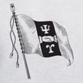thumbnail image 3 of CafePress - Psi Upsilon Flag Sweatshirt - Pullover Hoodie, Hooded Sweatshirt, 3 of 4