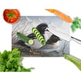 thumbnail image 2 of Caroline's Treasures Goldeneye Ducks in the Water Glass Cutting Board Large, 2 of 2