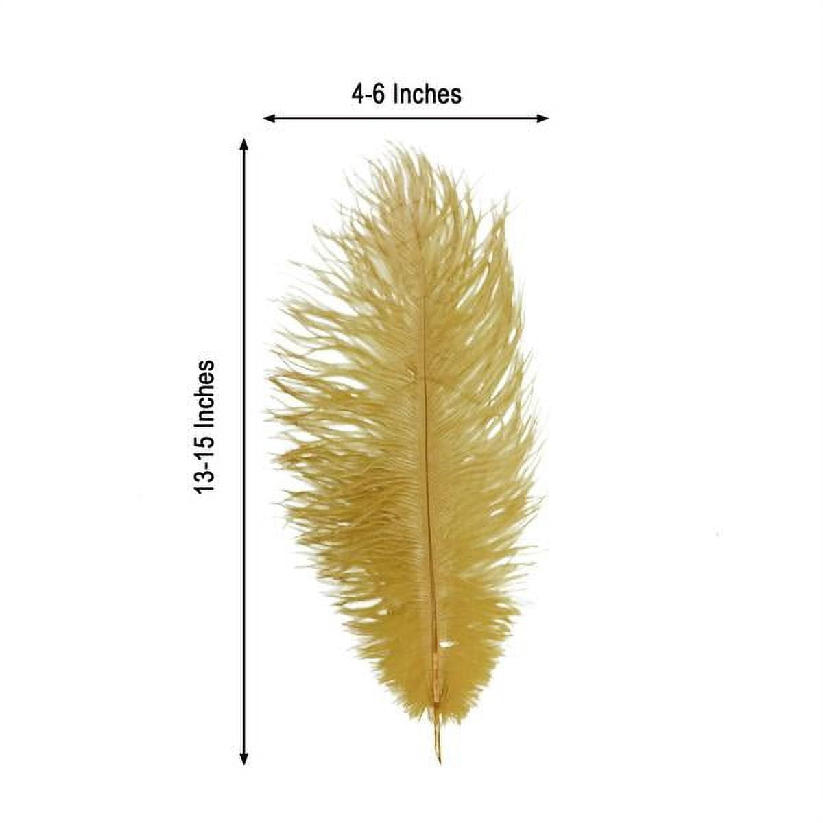 Balsa Circle 12 Pieces 13"-15" Gold Authentic Ostrich Feathers Centerpieces