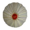 thumbnail image 3 of Rioff Volant de Badminton en Plumes de Canard, Durable et Résistant aux Intempéries / Rouge & Blanc, Lot de 10, 3 of 4