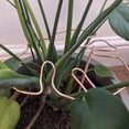 thumbnail image 4 of Soporte para Plantas en Forma de Monstera, Tallos Aleación Resistente y Reutilizable, Retención Plantas, Hierbas Verduras D, 4 of 5
