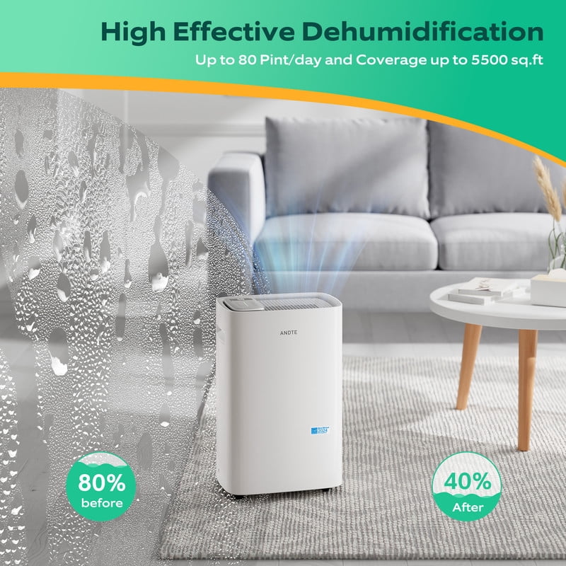 50 pt. 4500 sq. ft. Dehumidifier for Home in White with Bucket, Drain Hose, Energy Star