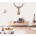 thumbnail image 5 of Rhino Head Bookend - Set of 2, 5 of 5