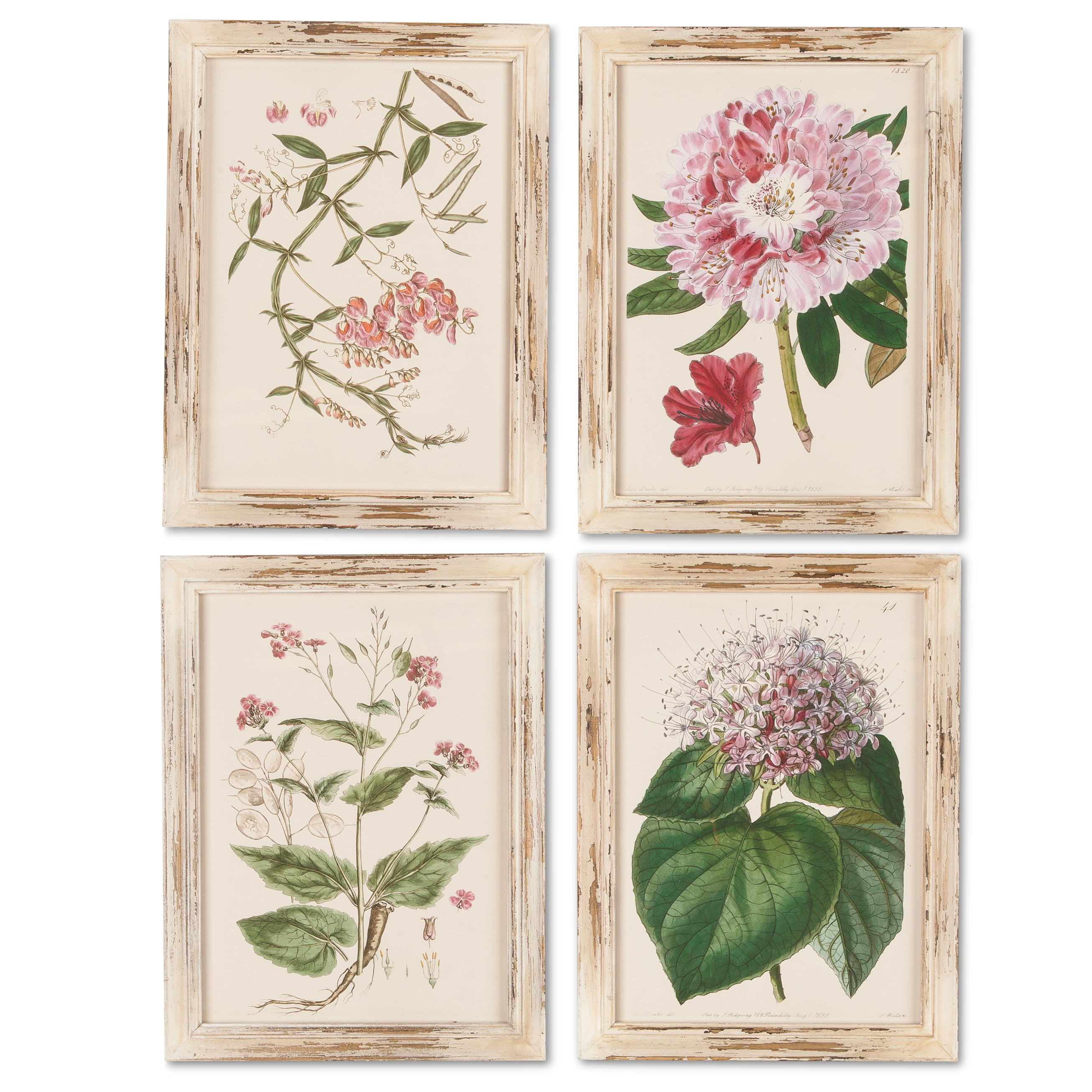 Assorted Botanitcal Series Pink Flower Wall Art on Wooden Frame (Set of ...