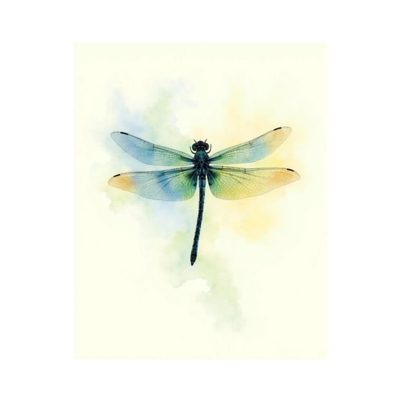 Paint by Numbers Kit for Adults, Dragonfly Watercolor Pastel Wings Paint by Numbers, Easy Paint by Numbers Kit for Adults Beginner, DIY Adult Paint by Number Kits on Canvas, 12x16in Home Decor