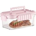 thumbnail image 1 of Fruit Containers For Fridge, Airtight Locking Lids Food Containers With Detachable Ice Tray, Summer Household Outdoor Fruit Organizer Bento Box For Ic, 1 of 5