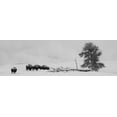 thumbnail image 2 of Hopkins, Cindy Miller 32x13 White Modern Wood Framed Museum Art Print Titled - USA-Wyoming-Yellowstone National Park Bison herd in snow, 2 of 4