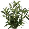 thumbnail image 2 of Better Homes & Gardens 14in Indoor Artificial Olive Plant in 2-Tone Ceramic Vase, 2 of 5