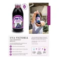 thumbnail image 3 of Jugo de Uva Concentrado 100% Natural Mega Uva 630g, 3 of 5
