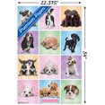 thumbnail image 3 of Keith Kimberlin - Puppies - Cuties Grid, 3 of 5