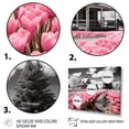 thumbnail image 3 of Designart "Frontyard Oasis A Pink Farmhouse" Farm Floater Framed Wall Art Print, 3 of 7