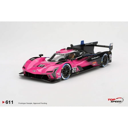 Cadillac V-Series.R #01 "Cadillac Racing" Winner IMSA "Petit Le Mans" (2024) 1/18 Model Car by Top Speed