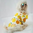 thumbnail image 6 of Pet Shirt Cartoon Fruit Pattern Dress-up Elastic Pet Dogs Short Sleeves Cardigan Pajamas for Teddy, 6 of 7