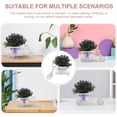 thumbnail image 3 of QUMIIRITY Con Planta Artificial Morada Para Mesas Y Espacios Interiores, 3 of 6