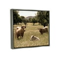thumbnail image 3 of Stupell Industries Three Cattle Relaxing Grassland Pasture Rural Farm Trees Photograph Luster Gray Floating Framed Canvas Print Wall Art, Design by Daphne Polselli, 3 of 5