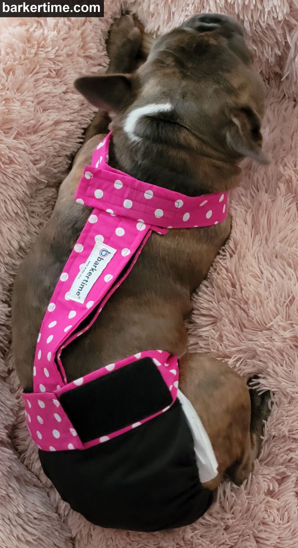 Barkertime Pink Polka Dot on Black Dog Diaper Overall