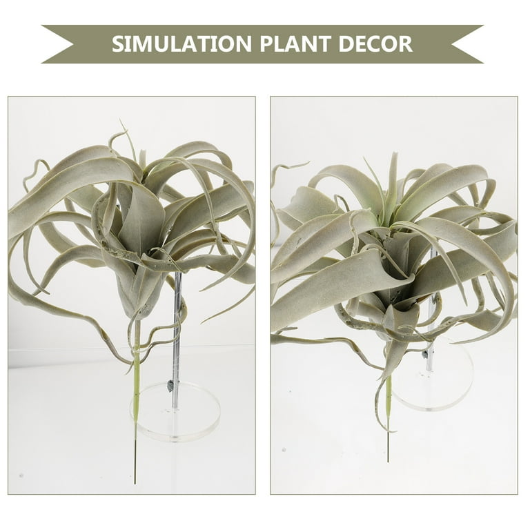 Raindrops Artificial Pineapple Grass Tillandsia Air Plants for Home Office  Decor - Walmart.com