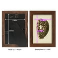 thumbnail image 4 of Sealife Collection III - Framed Print w/glass - Chestnut, 4 of 8