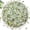 Jade, variant on 2-pound pack of succulent and cactus gravel, 1/5-inch natural decorative polished stone, river pebbles, suitable for vases, aquariums, glass containers and outdoor gardening.