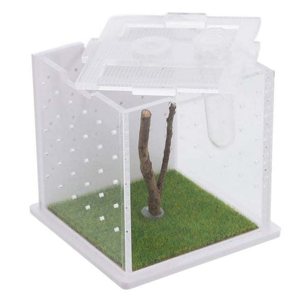 Worgeous Clear Spider Enclosure Box Jumping Spider Habitat Box Acrylic Insect Box Acrylic Jumping Spider Cage Feeding Case Insect Spider Box Container