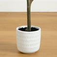 thumbnail image 6 of Nearly Natural Birch Potted Artificial Tree - 4' - Yellow and White, 6 of 6