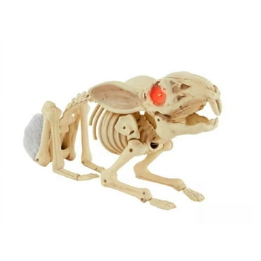 Halloween Rabbit Skeleton Bunny Animated Decoration