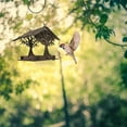 Feeder Cages To Deter Large Birds Suet Feeders For Outside Squirrel feeder-cages-to-deter-large-birds-suet-feeders-for-outside-squirrel