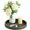 Green, variant on Round Decorative Tray for Coffee Table Decor, PU Leather Coffee Table Tray Golden Trim for Home Decor Living Room Dining Table, Perfume Trays Nightstand Organizer (White)