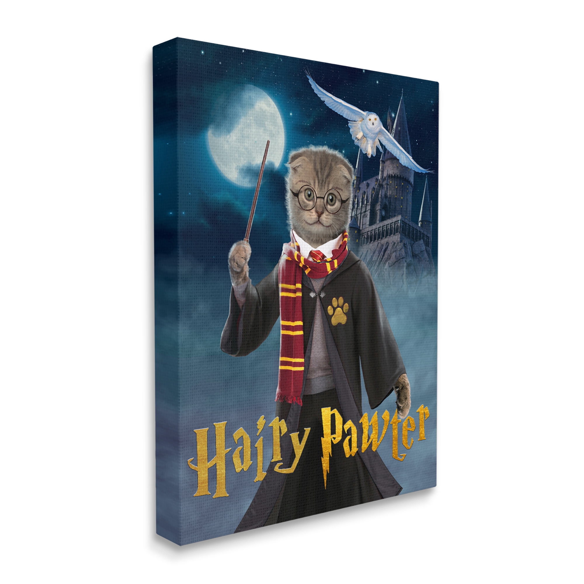 Stupell Industries Hairy Pawter Cat Wizard Animals & Insects Painting Gallery Wrapped Canvas Art Print Wall Art, 24 x 30
