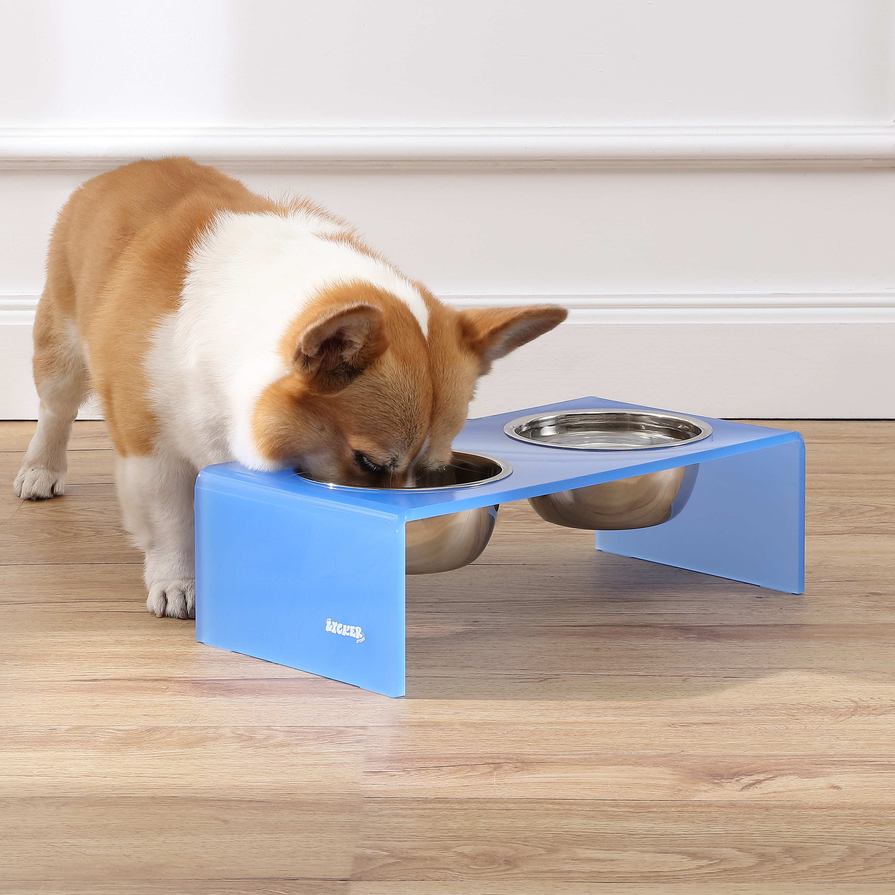 THE LICKER STORE Keaton 5" Small/Medium Modern Acrylic Rectangular Elevated Pet Feeder with 20oz 2-Stainless Steel Bowls, Blue/Chrome, DBL2000C