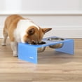 thumbnail image 3 of THE LICKER STORE Keaton 5" Small/Medium Modern Acrylic Rectangular Elevated Pet Feeder with 20oz 2-Stainless Steel Bowls, Blue/Chrome, DBL2000C, 3 of 7