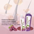 thumbnail image 6 of Shampoo For Hair Dryness Hydrates Smoothes Improves Frizz Grape Shampoo 450+248ml Set, 6 of 8
