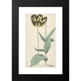 thumbnail image 2 of Cornelis van Noorde 12x18 Black Modern Framed Museum Art Print Titled - From Tulp Bizard Catafalque (1765), 2 of 5