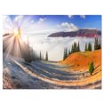 thumbnail image 2 of Yellow Beach Forest in Carpathians - Landscape Photography Canvas Print, 2 of 3